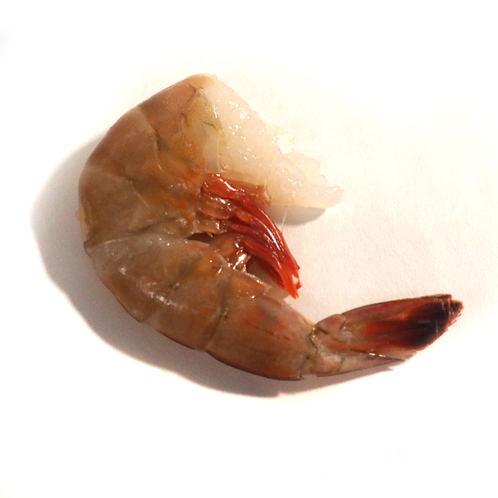 1 lb Shell-on Domestic White Jumbo Shrimp (Not Cooked)