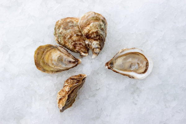 Oyster's for Shucking or Grilling!